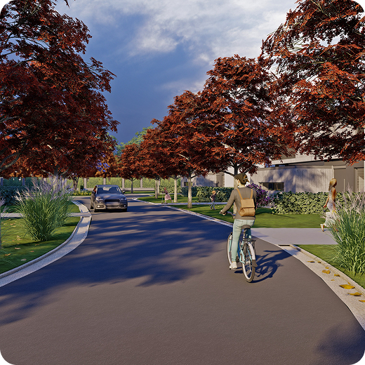 El proyecto - recorrido
